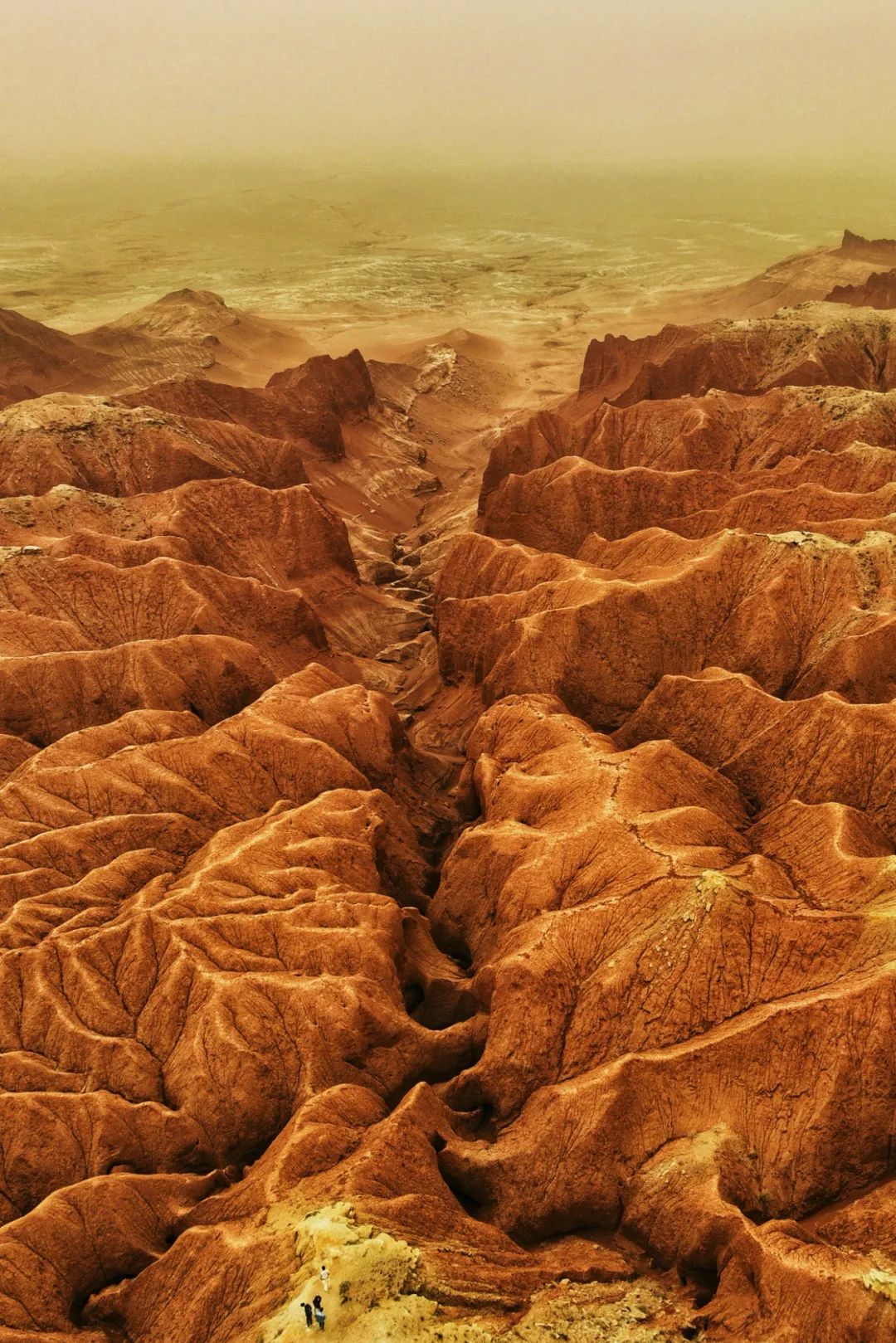 <html>
<head><title>502BadGateway</title></head>
<body>
<center><h1>502BadGateway</h1></center>
<hr><center>nginx</center>
</body>
</html>
<!--apaddingtodisableMSIEandChromefriendlyerrorpage-->
<!--apaddingtodisableMSIEandChromefriendlyerrorpage-->
<!--apaddingtodisableMSIEandChromefriendlyerrorpage-->
<!--apaddingtodisableMSIEandChromefriendlyerrorpage-->
<!--apaddingtodisableMSIEandChromefriendlyerrorpage-->
<!--apaddingtodisableMSIEandChromefriendlyerrorpage-->
