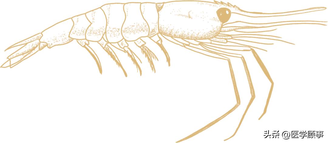 甯稿窞鏂伴瓘鑺卞洯瀹鹃,甯稿窞涓惔瀹鹃鑷姪