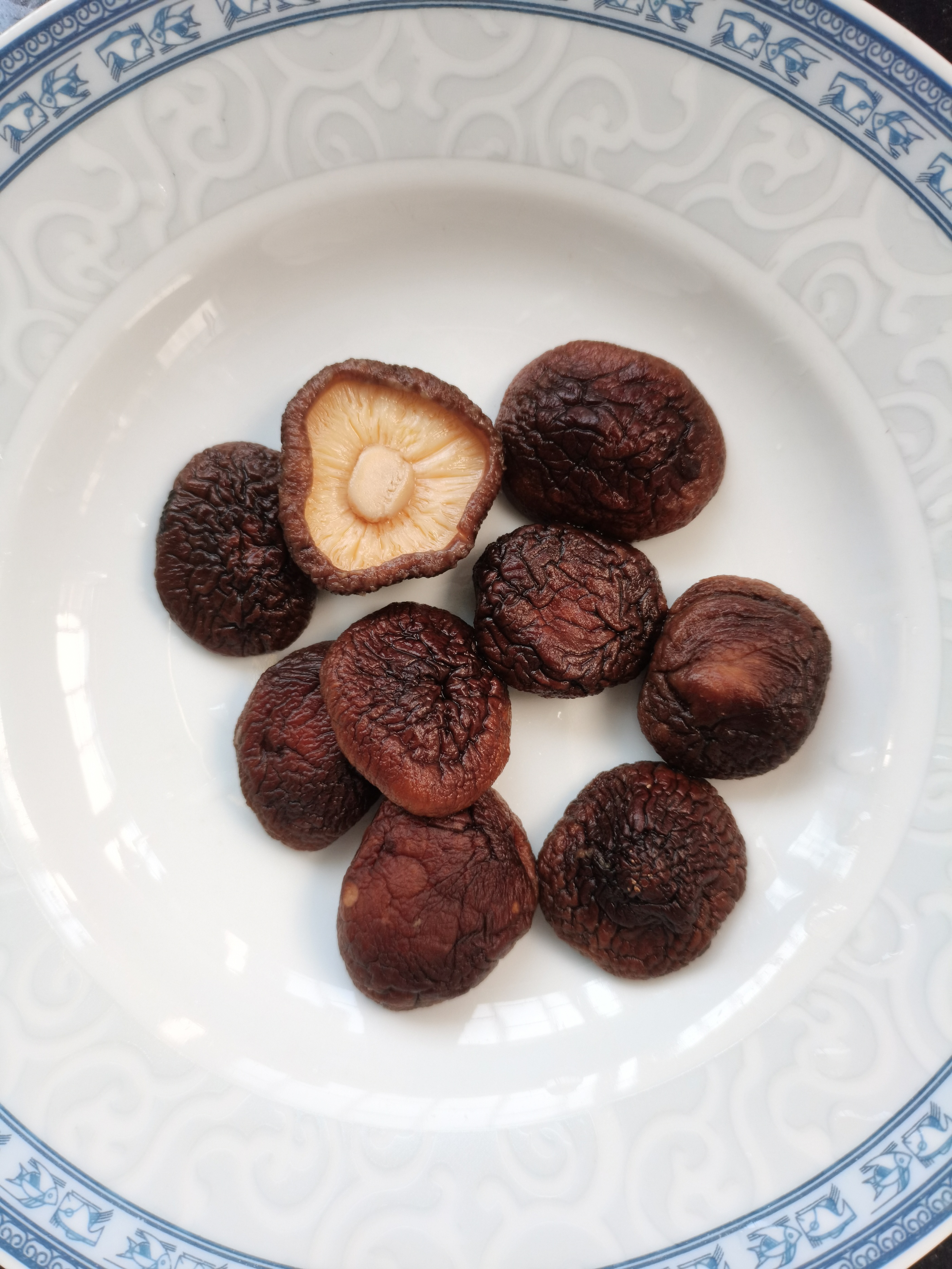 送给独自一人打拼的你,送给在外打工的你完整版