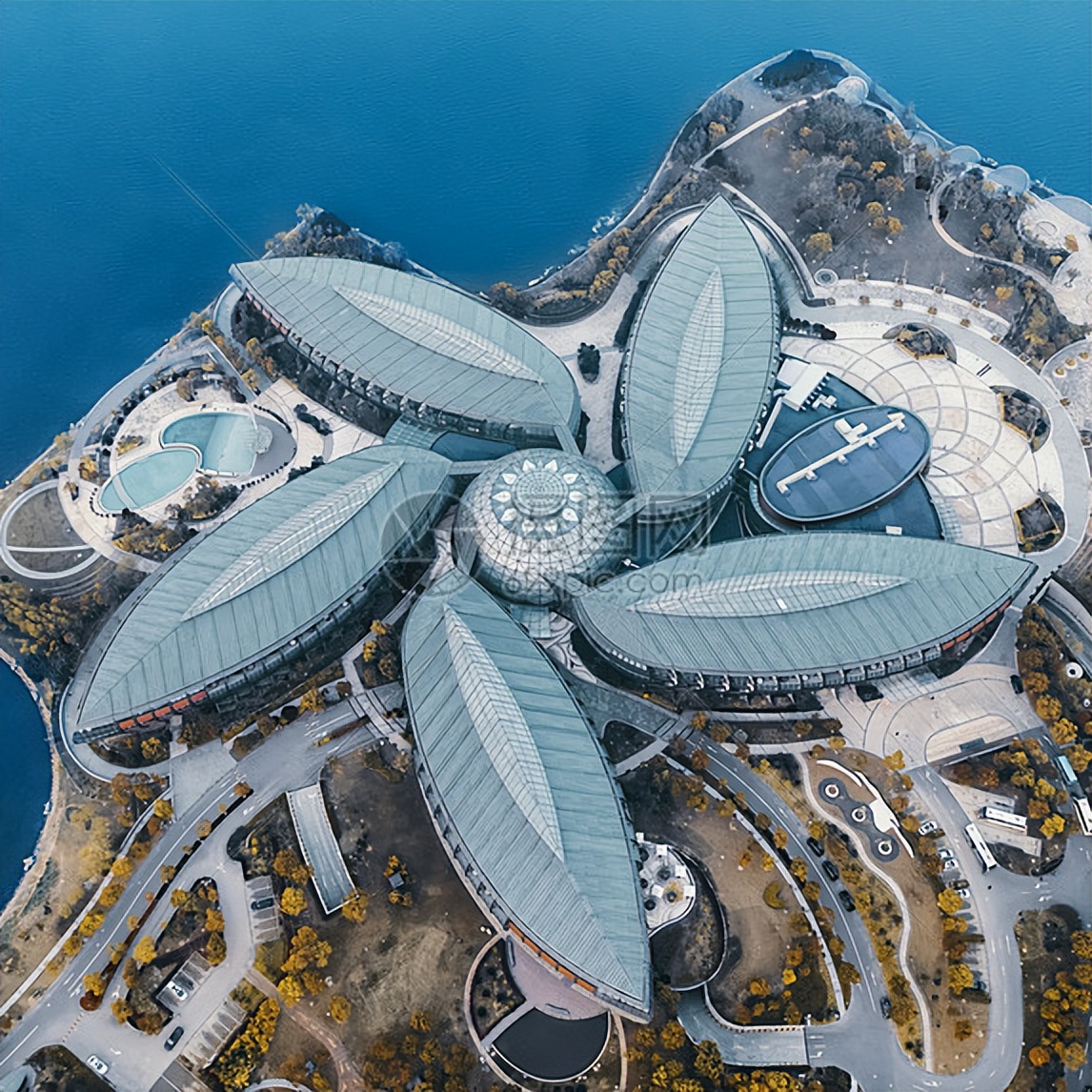 不走寻常路不走回头路,不走寻常路酒驾