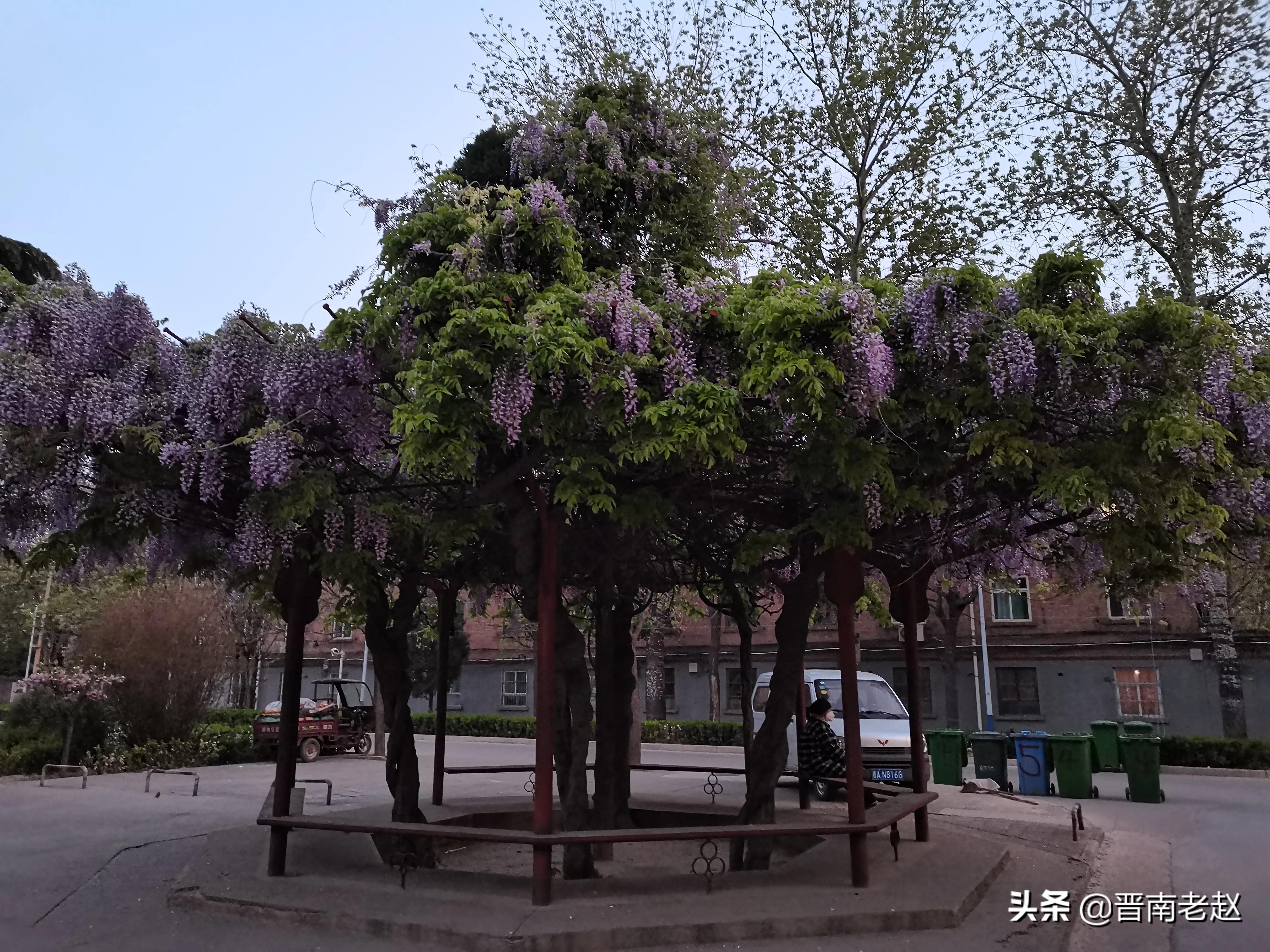 北方小城，愉快的周末，晋南老赵散漫一天，七零后大叔得过且过