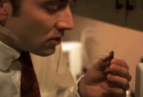 尼古拉斯凯奇生吃蟑螂,尼古拉斯凯奇吃蟑螂