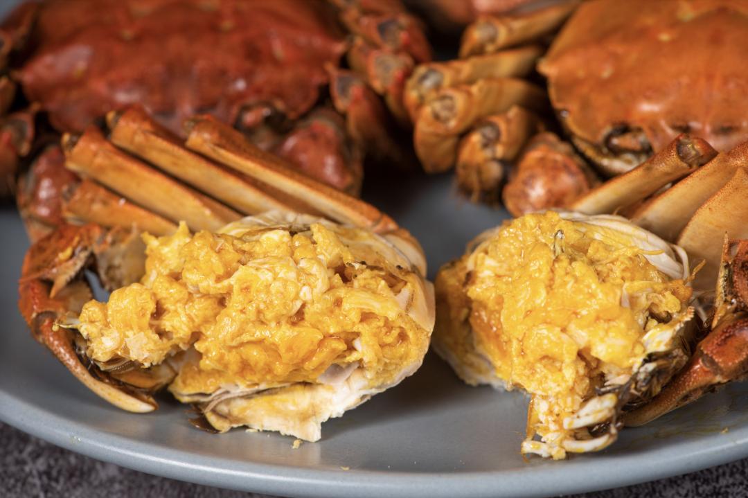 现在的阳澄湖大闸蟹怎么样了,大闸蟹除了阳澄湖还有哪里比较好