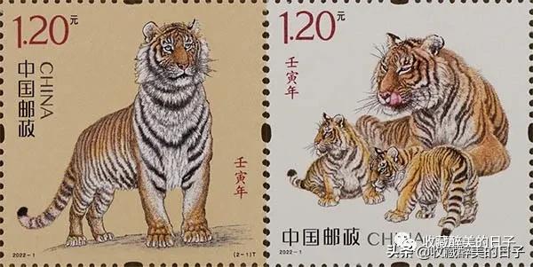 壬寅虎啸，躬履至仁，“虎仔”丁雄军携茅台虎年生肖酒呼啸而来