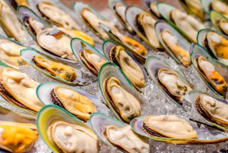 萨摩耶掉毛过程,萨摩耶铲屎官完整版