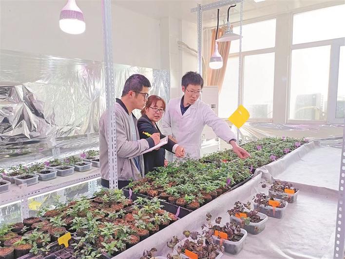 兵团科技工作者创新创业,兵团科技