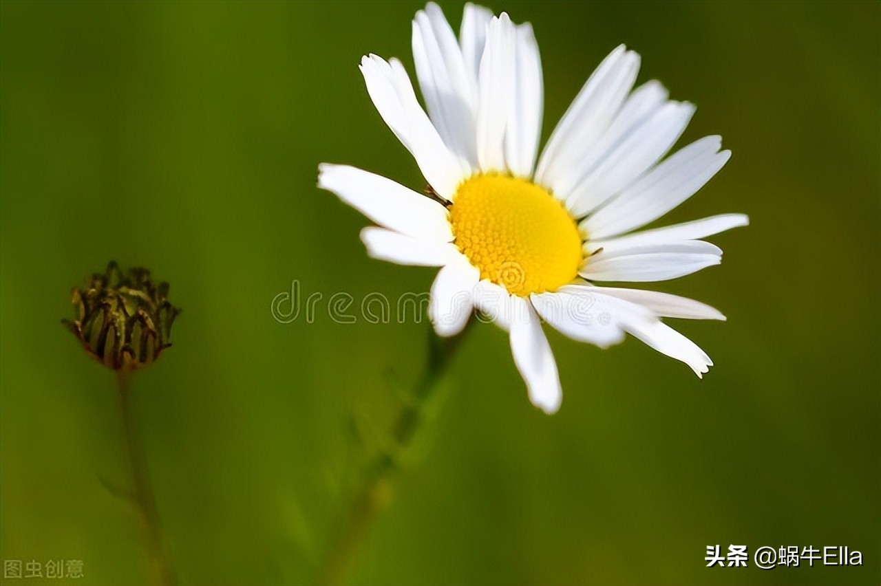 良好的第一印象对客户有什么作用,如何留下良好的第一印象