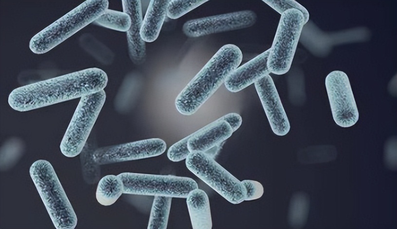 人体抵御细菌感染的第一道防线,人体卫士大战细菌