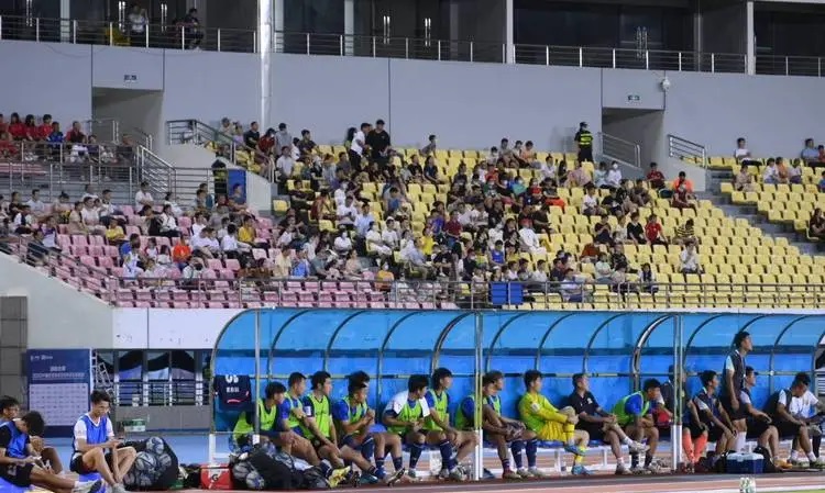 广西平果哈嘹vs济南兴洲,中甲积分榜广西遭逆转首败