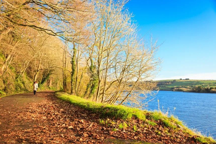 阳光明媚的早晨加一点凉意的句子,早上阳光明媚的句子简短