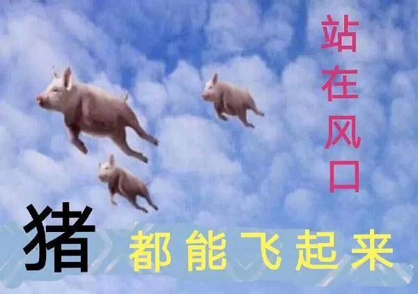 警惕社会不良现象,警惕社会的现象