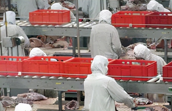 中国食品业知名品牌有哪些,中国食品饮料企业排名