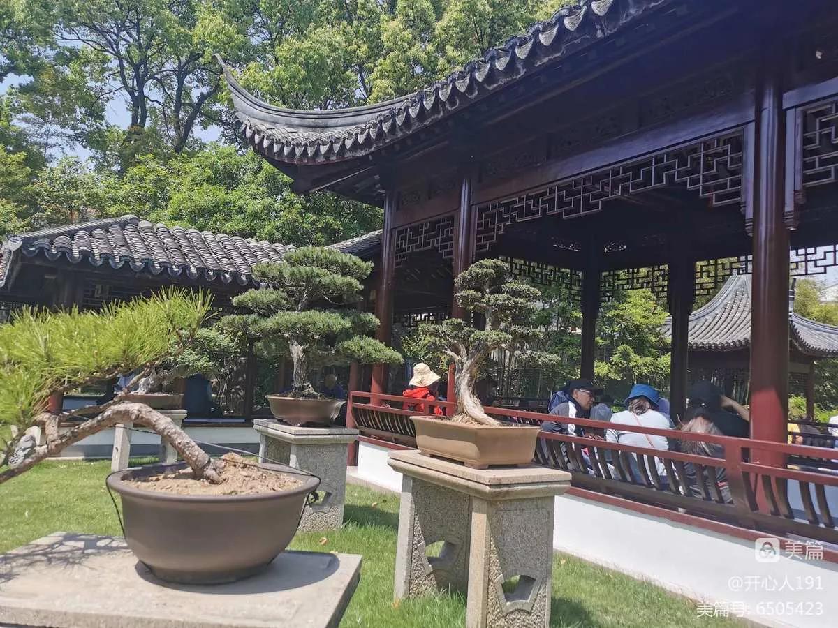 上海园林古猗园,上海古猗园留下美丽景色