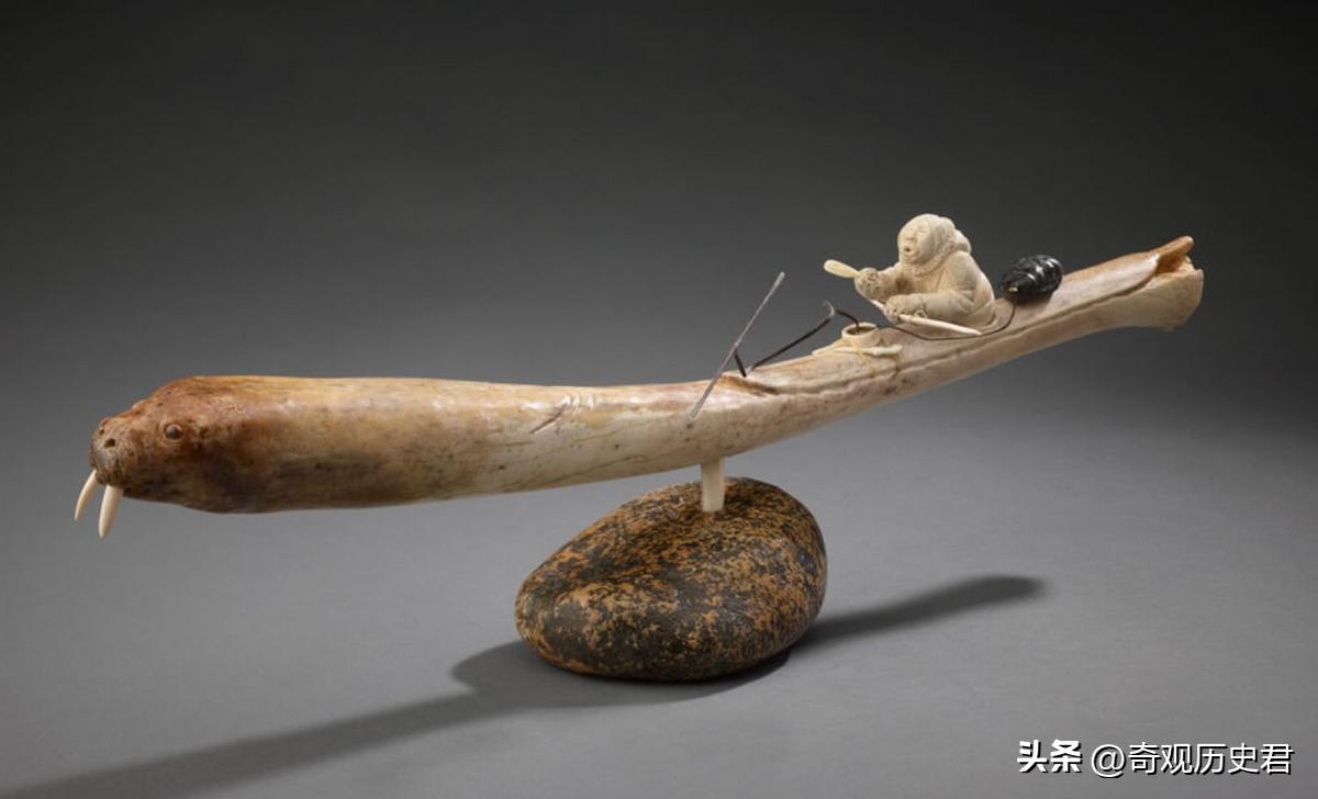 雄性动物进化器官,雄性生物生殖进化