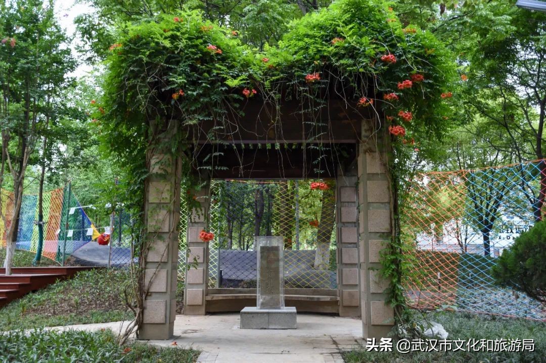 焕新乐园未来5年规划,湿地公园改造前后对比