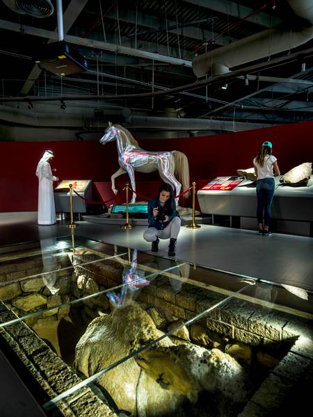 龙年新春闹沙迦，免签畅玩，行程全是精华！