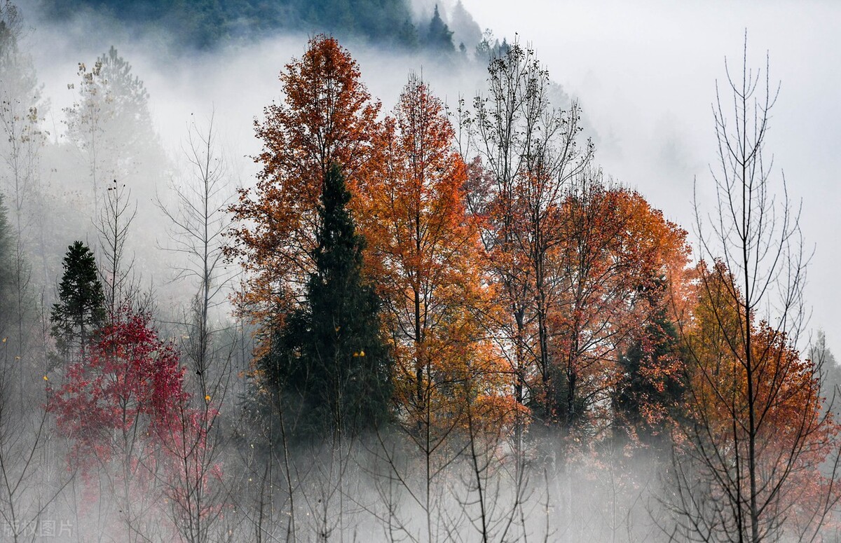 不同月份有什么别称,一到十二月每个月的别称