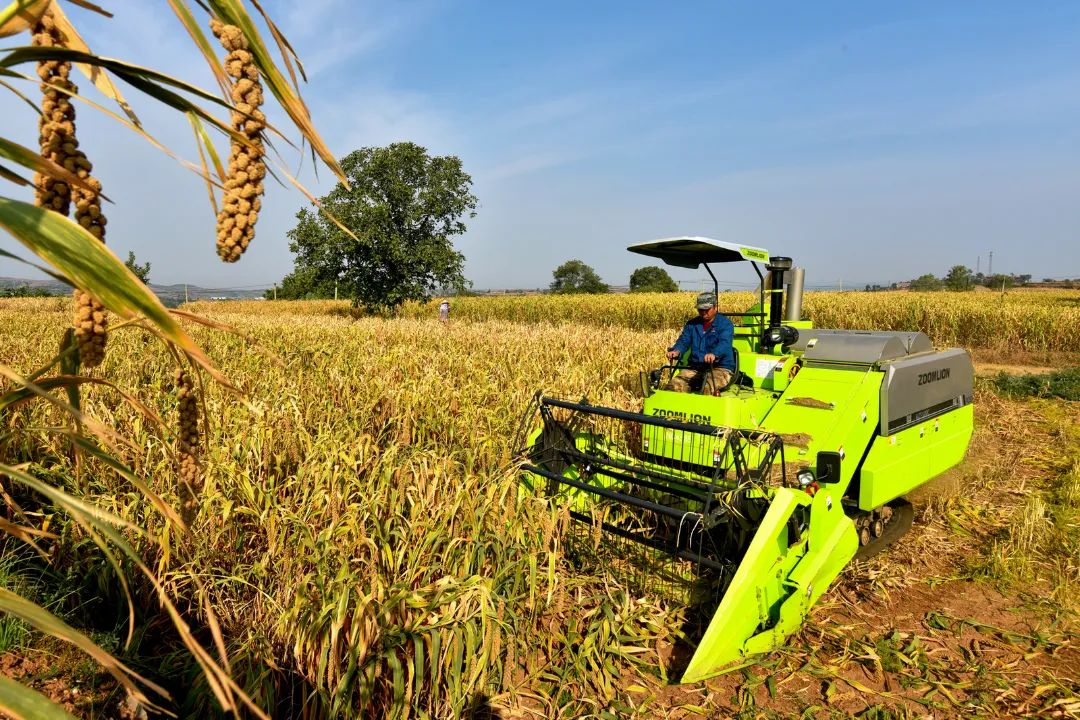 迎接党的20大美术作品,喜迎二十大乡村摄影展