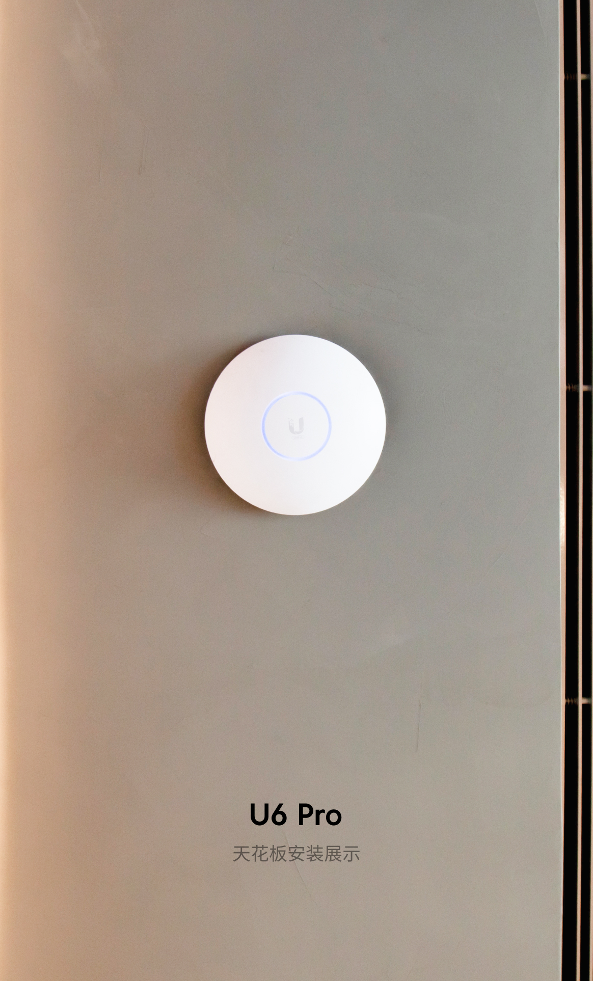 大促的时候什么值得买,大促活动买什么