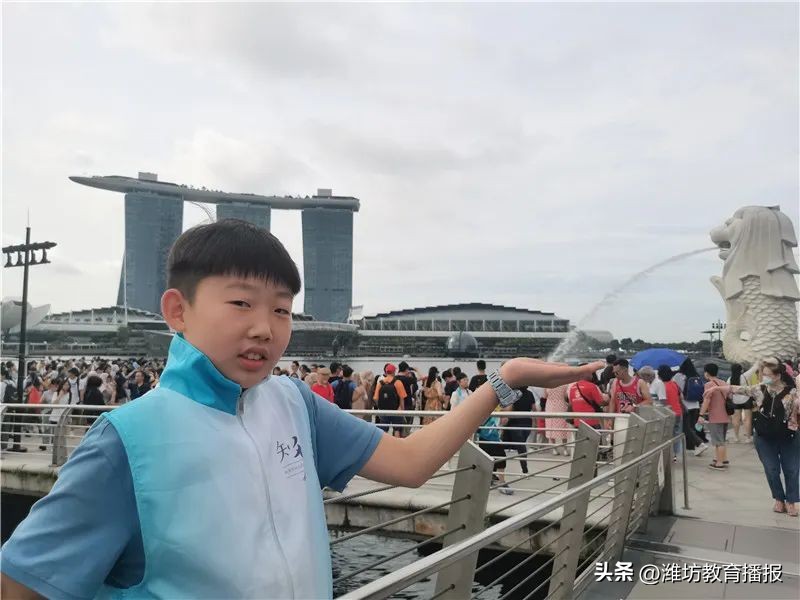 潍坊中新双语好进吗,潍坊中新双语校园