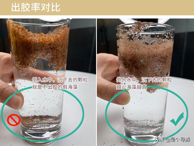 海藻面膜海藻是哪儿来的,海藻面膜的海藻是陆地上的吗