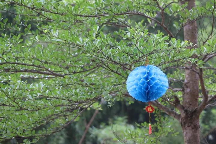 描写春天的姹紫嫣红的古诗,形容春天姹紫嫣红的诗句