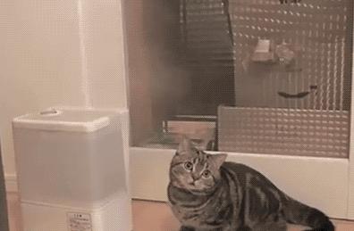 大长今冻龄女神李英爱,韩国李英爱年轻时图片