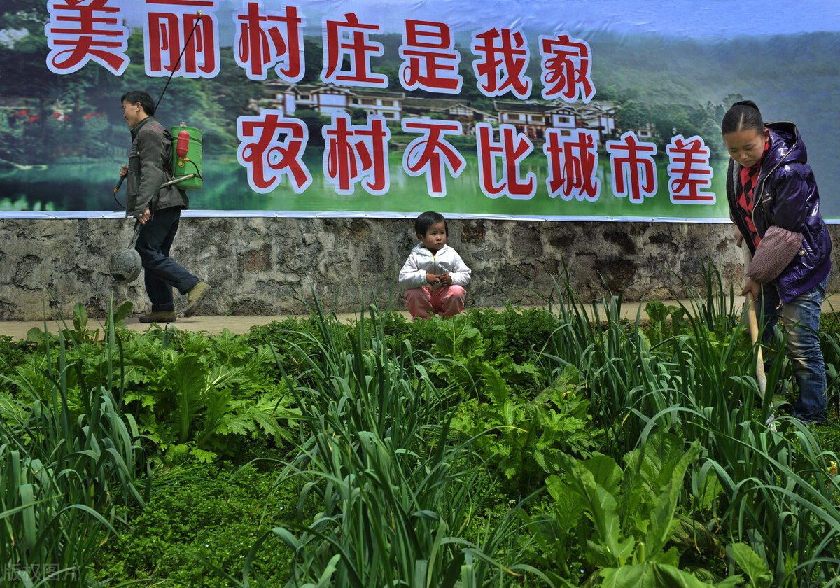 2022年农村什么挣钱,2022年农村什么最挣钱