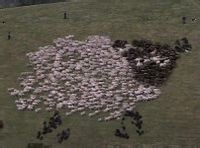 SEO基础学习大全