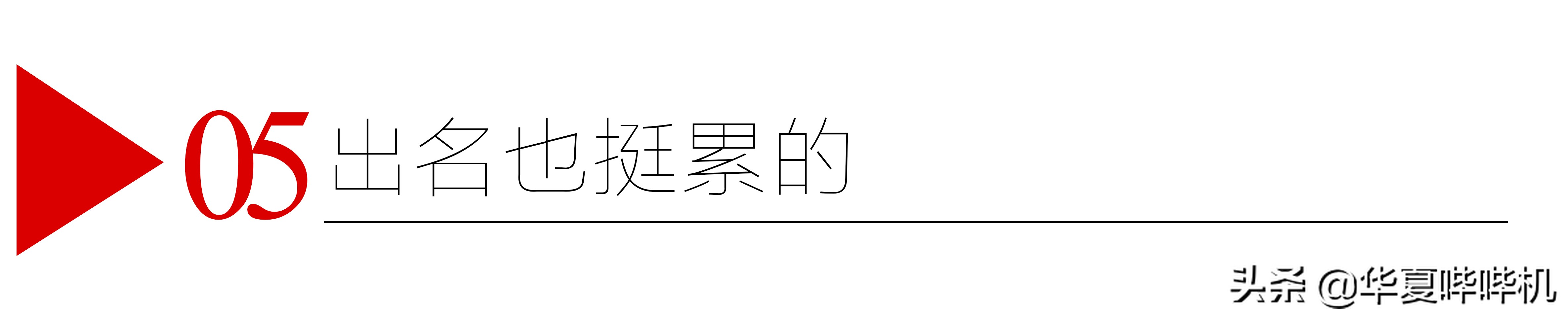 杨鸣输球了吗,杨鸣为什么不打球了