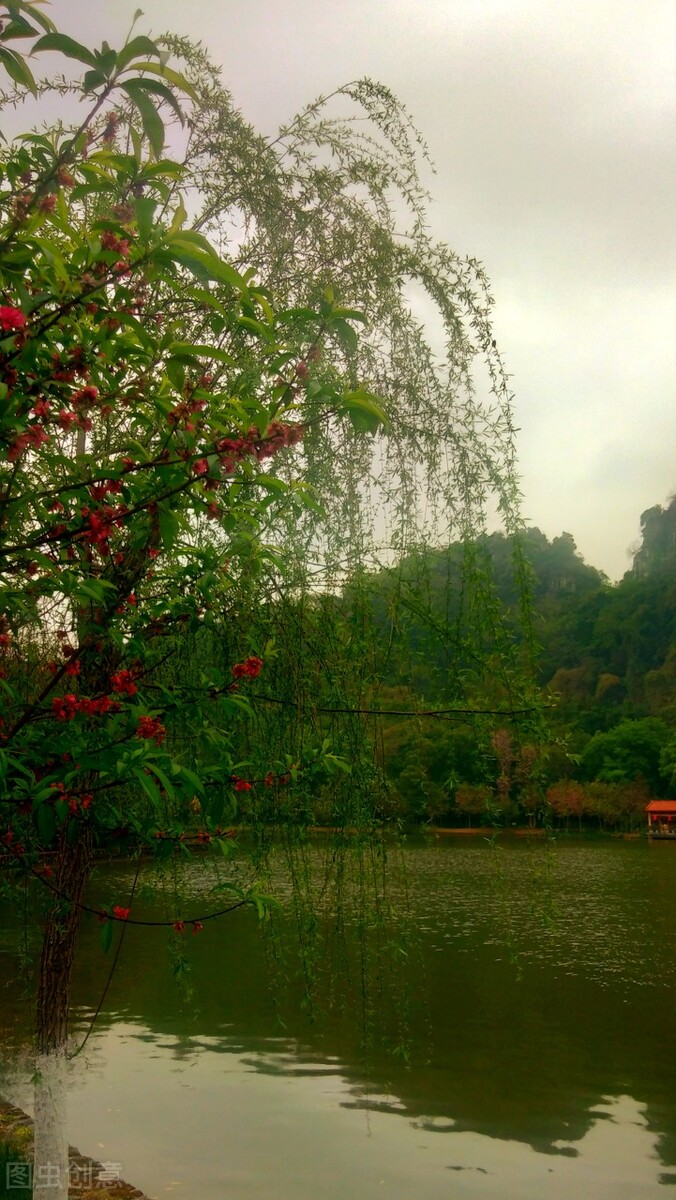 风吹杨柳万千条选段,风吹杨柳万千条指什么生肖