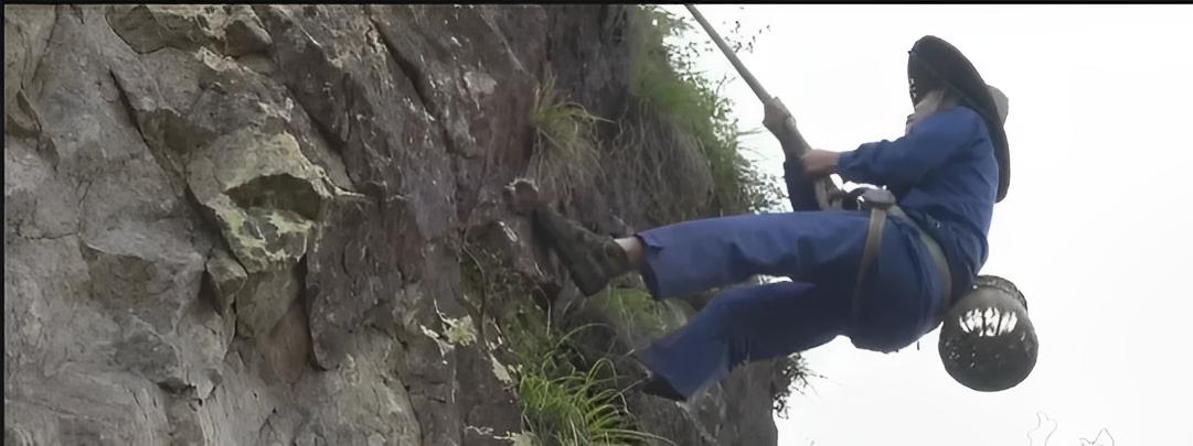 曾卖300元一斤的水果现在卖不出,真正的铁皮石斛在哪里能买得到