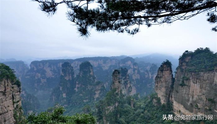 张家界值得和朋友打卡的地方,张家界五日游攻略自由行