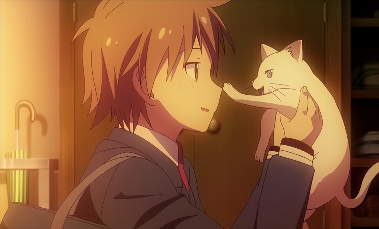 有关樱花庄的宠物女孩,盘点樱花庄的宠物女孩