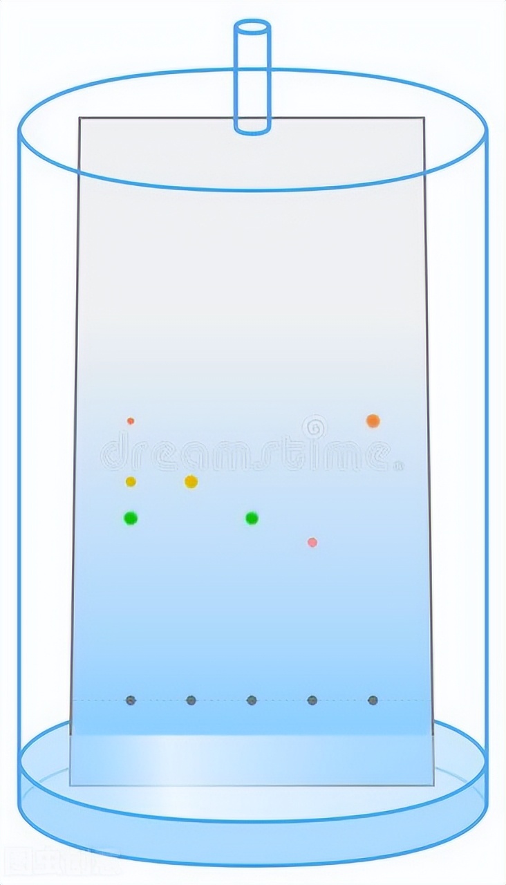 《中国大百科全书（第2版）》读书笔记4299-薄层色谱法