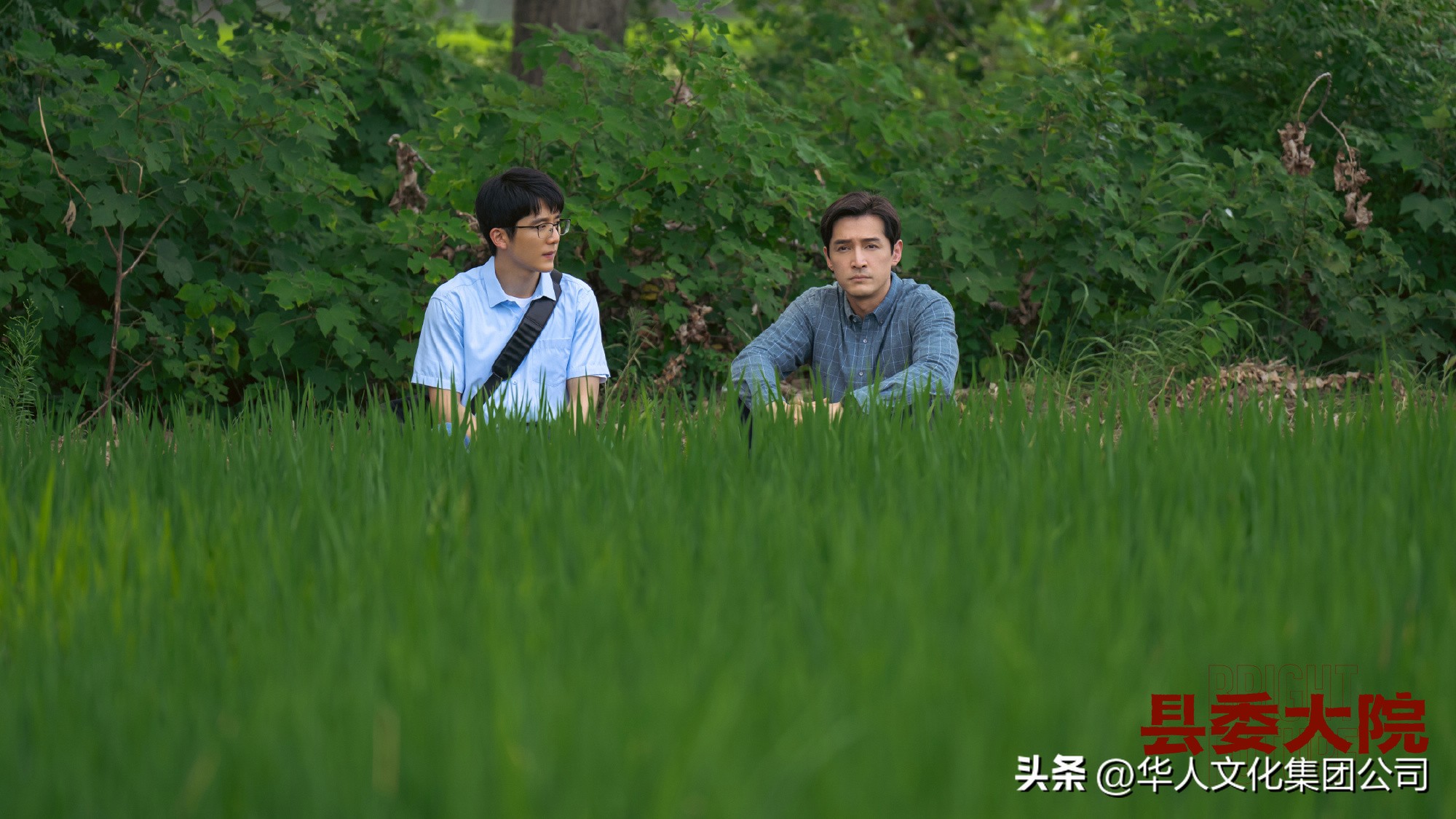 《县委大院》深度解读系列,县委大院精彩回顾