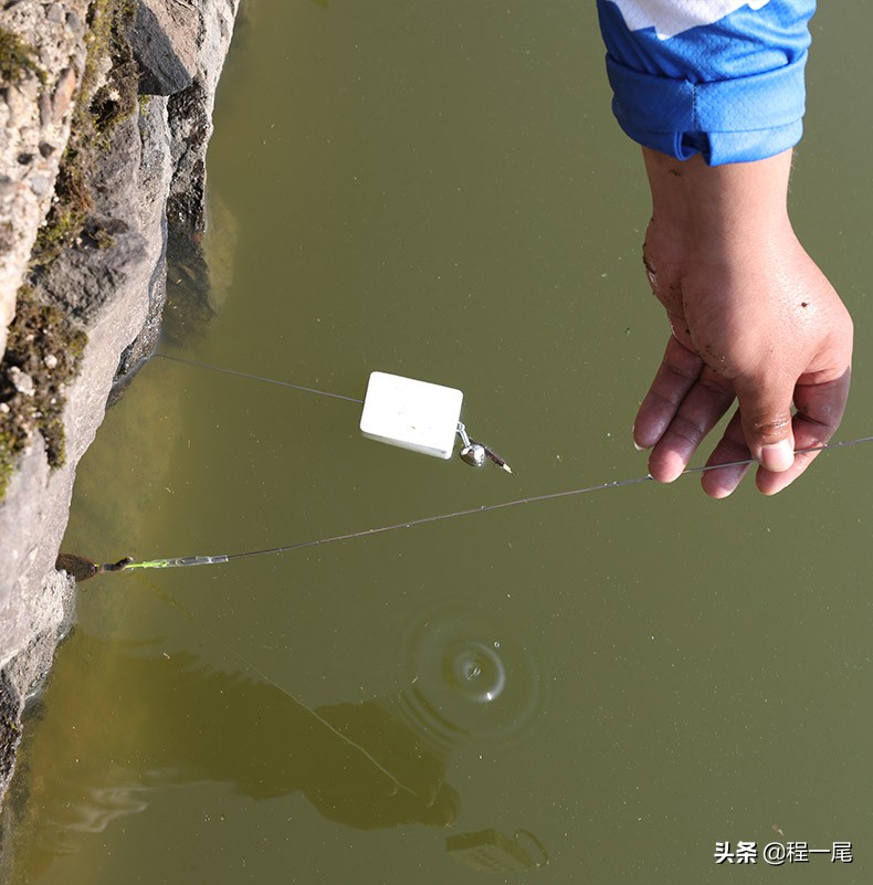 鱼钩怎么钓鳝鱼图解大全,钓鳝鱼用几号钩最佳