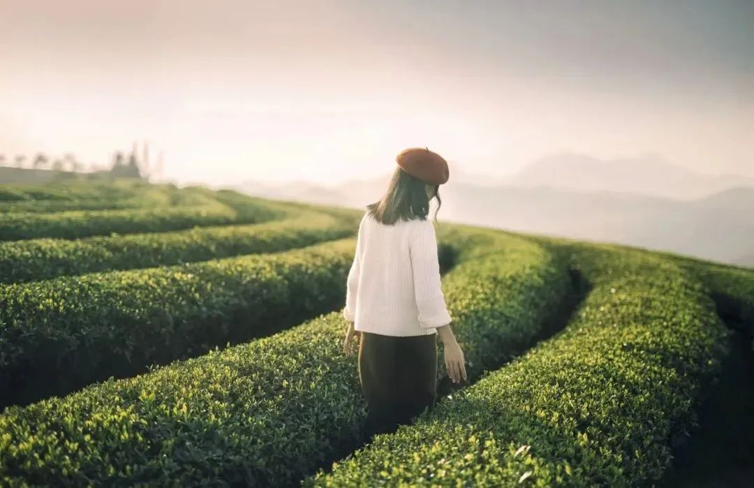 大v说福州,大v说大庆