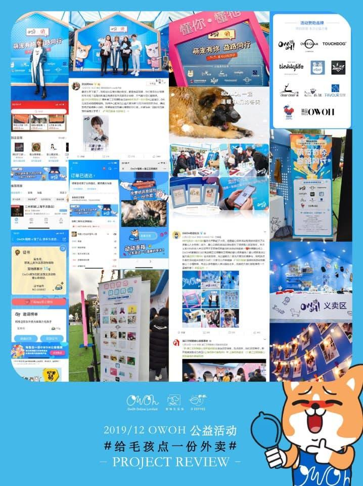 宠物配对网站推荐,同城宠物配对用哪个软件好