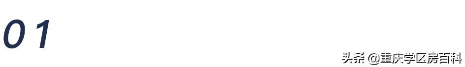 两江新区七龙珠学校,新的七龙珠分校