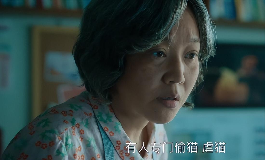 外婆的新世界对外婆评价,外婆的新世界点评