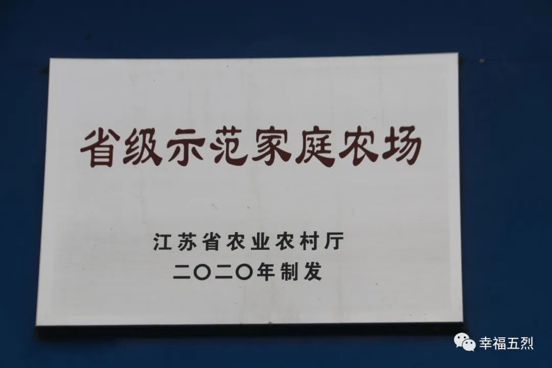 返乡种地的90后新农人,江苏90后新农人