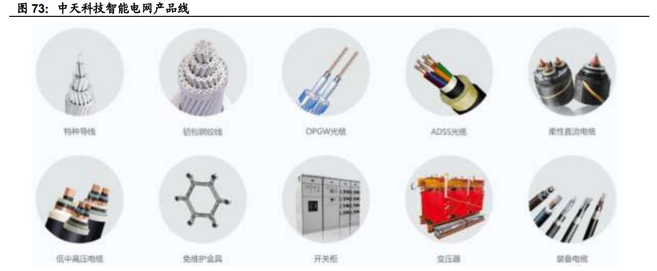 中天科技研究报告：海缆龙头企业，光储业务加速