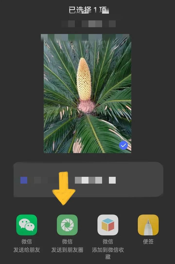微信朋友圈怎么打开使用,微信朋友圈使用技巧大全图解