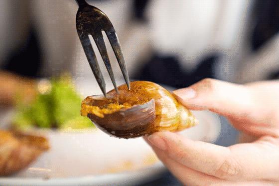 法国顶级食材蜗牛,法国蜗牛菜品有哪些