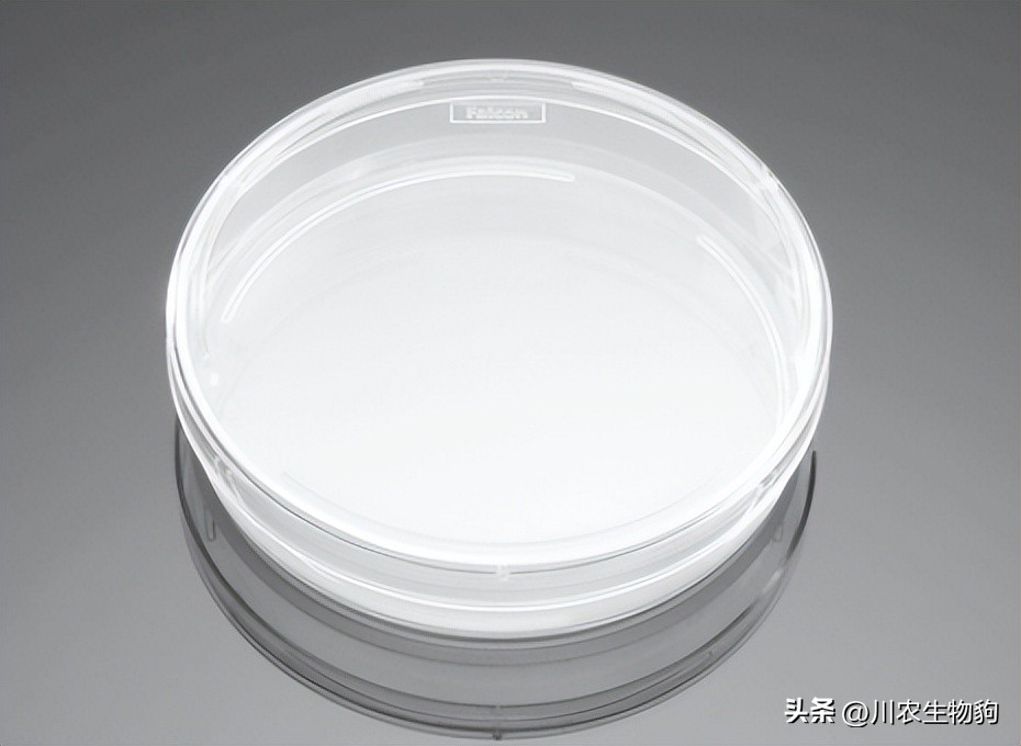 细胞培养基三大进口品牌,细胞培养耗材十大品牌