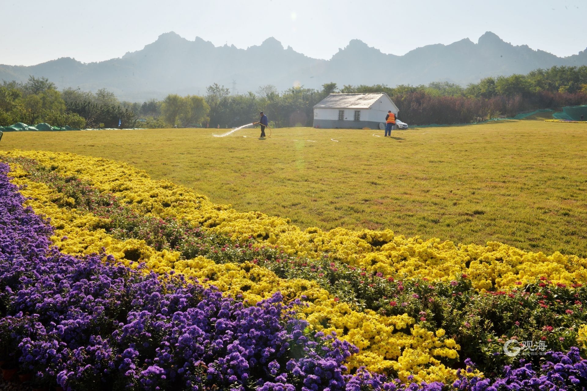 城市道路提升改造施工,城市更新浮山公园建设
