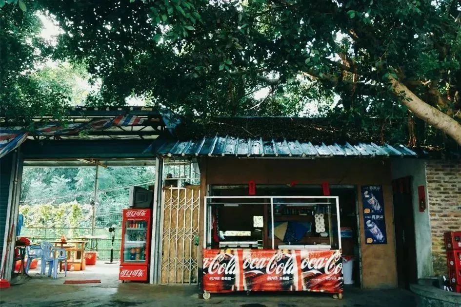 天津母女两代人救狗，500多毛孩子陷入断粮，剁白菜蒸玉米面充饥