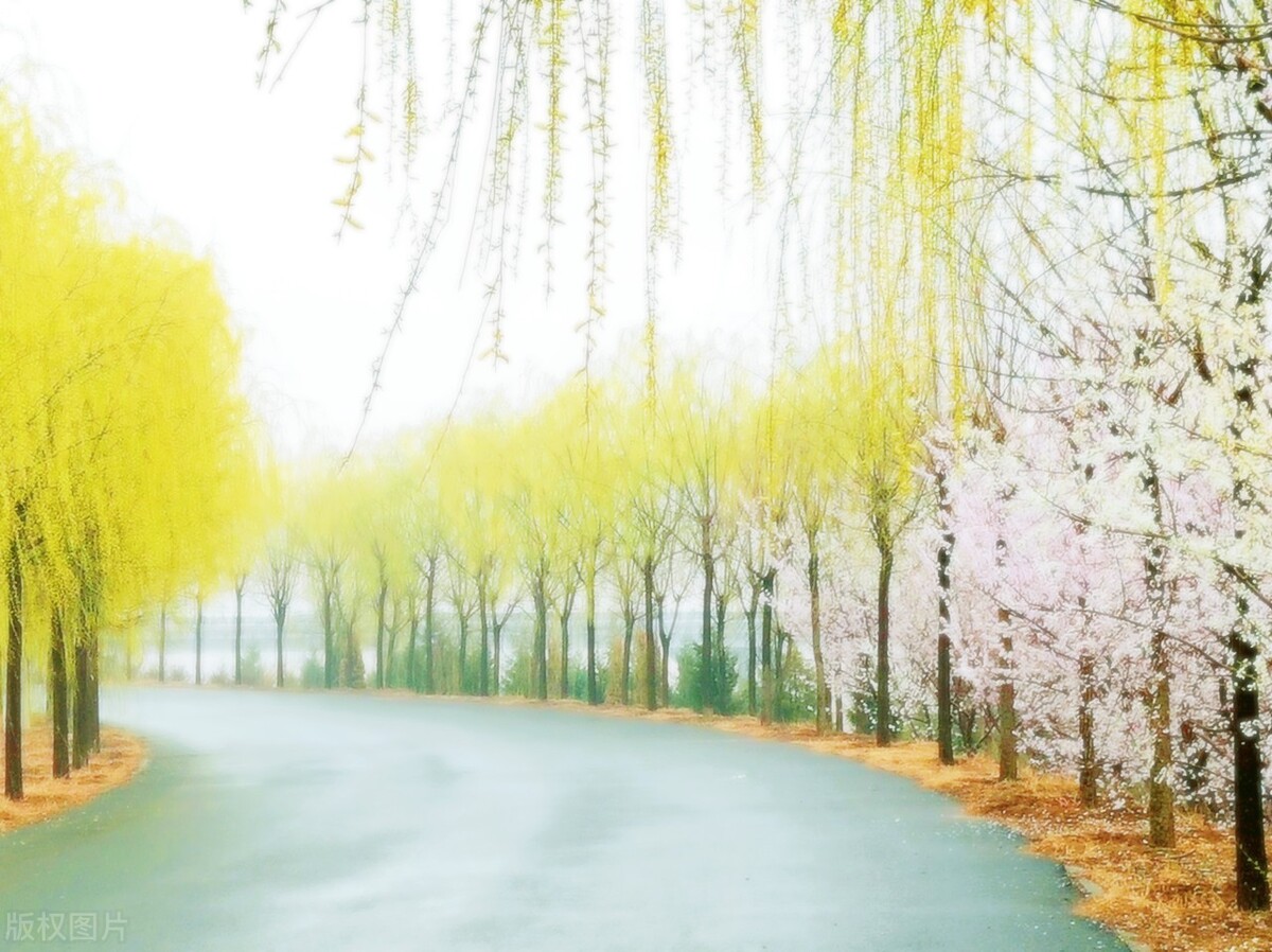 意境最美的古诗词春,50句绝美的春天诗