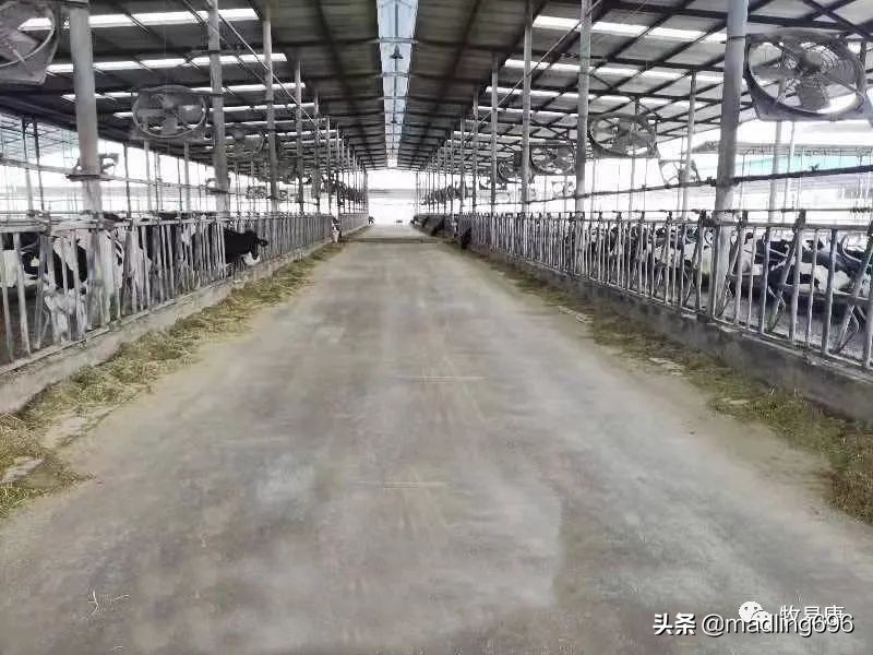 牧场标准化管理思路,牧场抖音运营